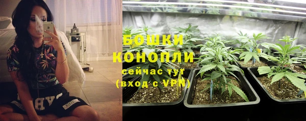гидропоника Володарск