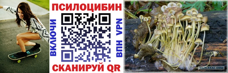 Псилоцибиновые грибы мухоморы  Купить где  Нурлат 